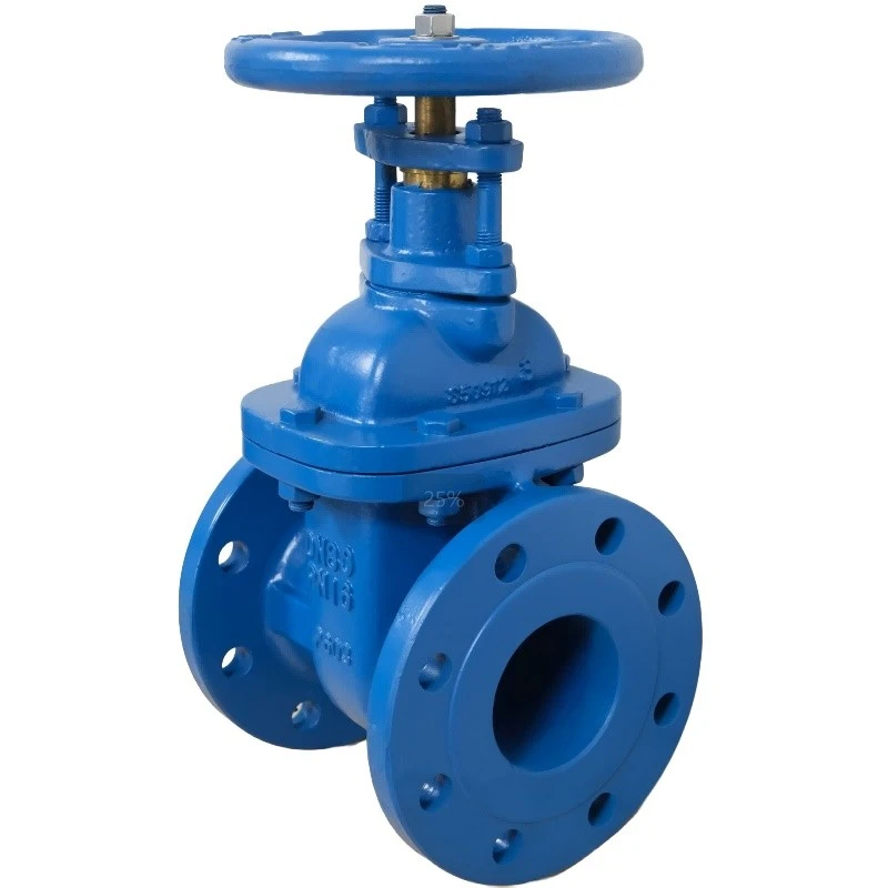 BS EN 1171 Gate Valve
