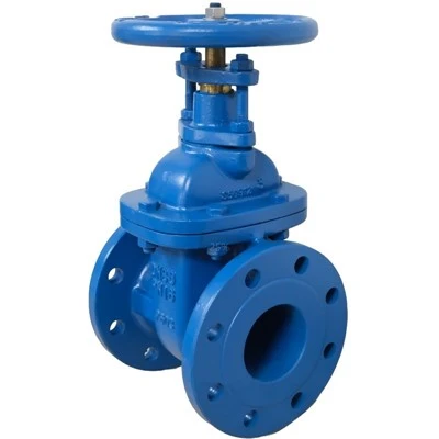 BS EN 1171 Gate Valve