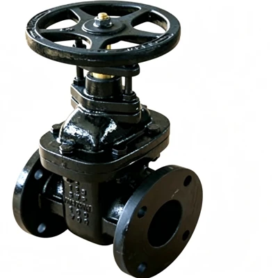 MSS SP-70 Gate Valve
