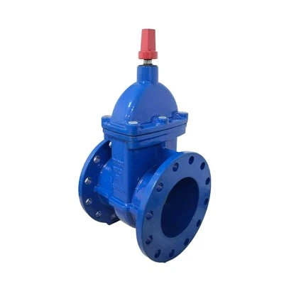 SABS 664 Gate Valve
